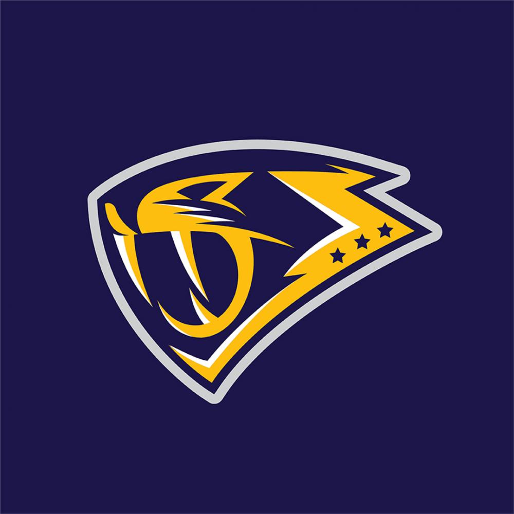 Creative rebrand of the Nashville Predators NHL hockey team